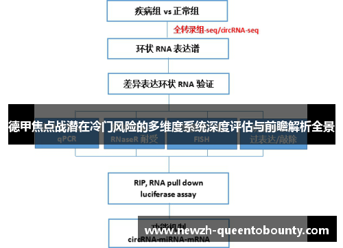 德甲焦点战潜在冷门风险的多维度系统深度评估与前瞻解析全景 德甲焦点战潜在冷门风险的多维度系统深度评估与前瞻解析全景